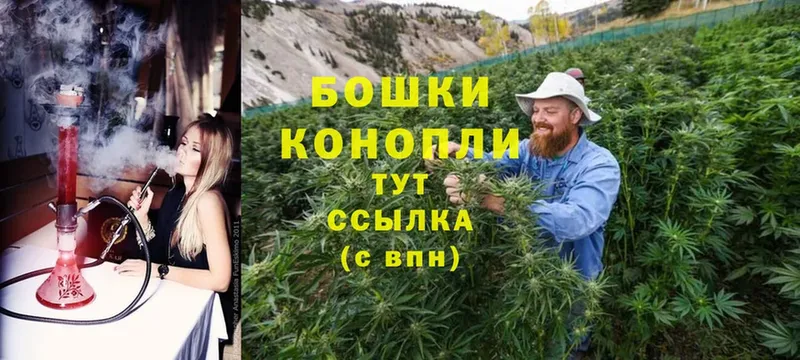 где купить наркоту  Кириши  Шишки марихуана Ganja 